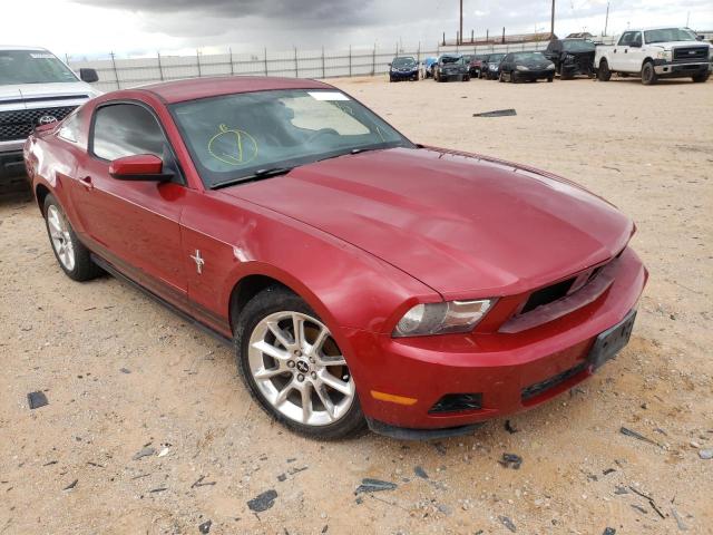 FORD MUSTANG 2010 1zvbp8an3a5153812