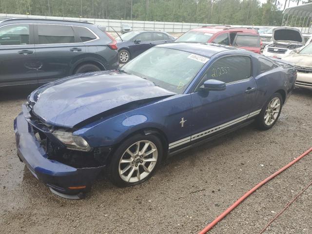 FORD ALL MODELS 2010 1zvbp8an3a5155592