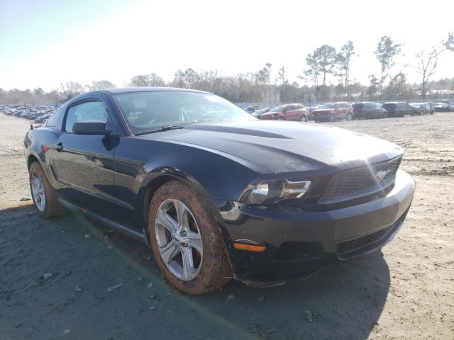 FORD MUSTANG 2010 1zvbp8an3a5155768