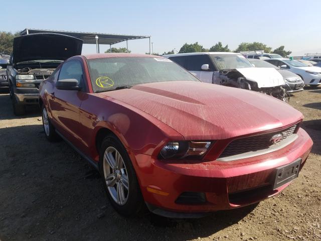 FORD MUSTANG 2010 1zvbp8an3a5155978