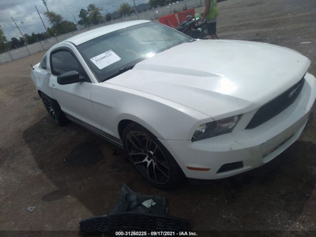 FORD MUSTANG 2010 1zvbp8an3a5156225