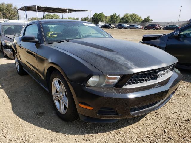 FORD MUSTANG 2010 1zvbp8an3a5158086