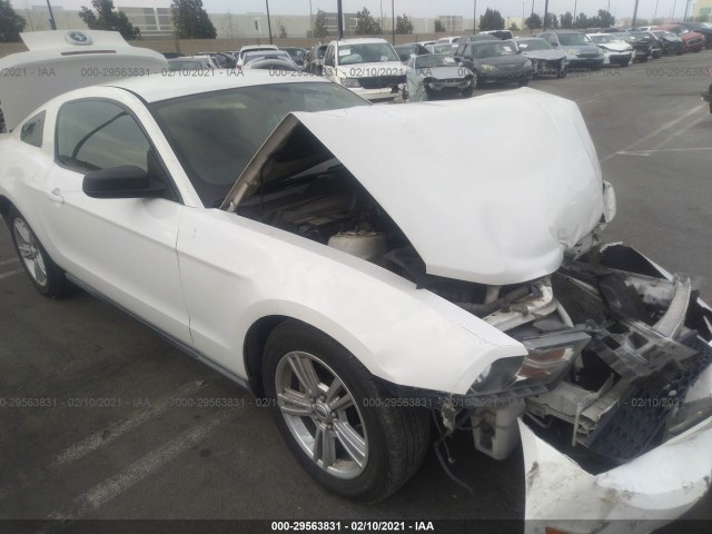 FORD MUSTANG 2010 1zvbp8an3a5159108