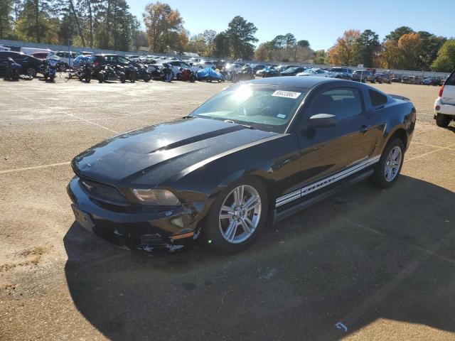 FORD MUSTANG 2010 1zvbp8an3a5160453