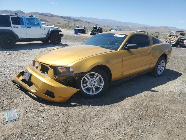 FORD MUSTANG 2010 1zvbp8an3a5163420