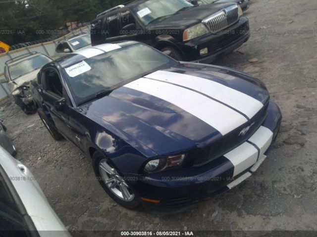 FORD MUSTANG 2010 1zvbp8an3a5163515