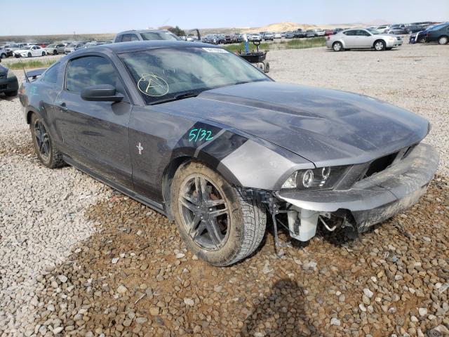 FORD MUSTANG 2010 1zvbp8an3a5169783