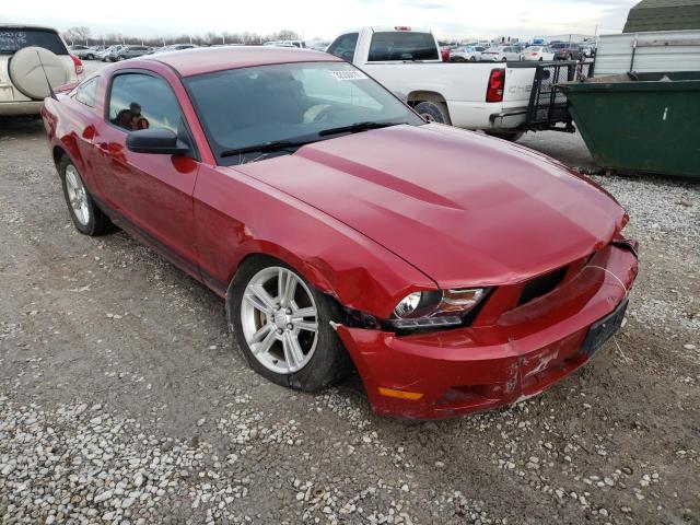 FORD MUSTANG 2010 1zvbp8an3a5173090