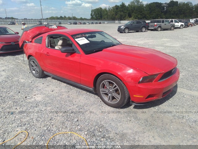 FORD MUSTANG 2010 1zvbp8an3a5173655