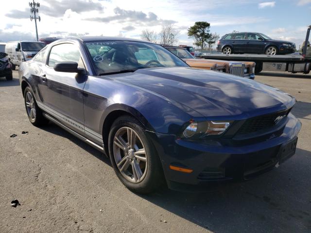 FORD MUSTANG 2010 1zvbp8an3a5179746