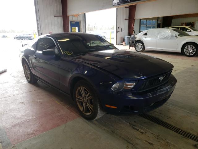 FORD MUSTANG 2010 1zvbp8an4a5100343