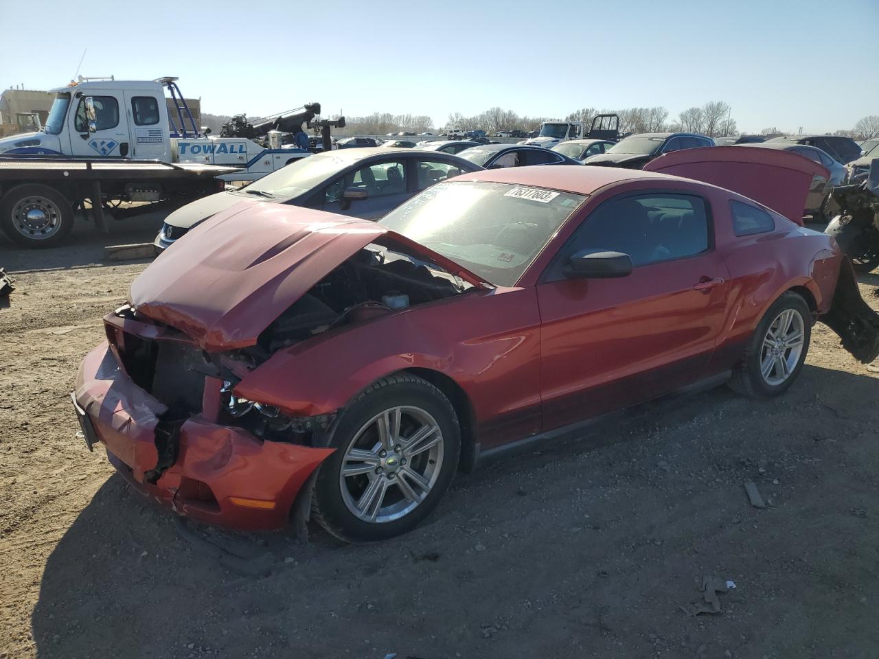 FORD MUSTANG 2010 1zvbp8an4a5101783