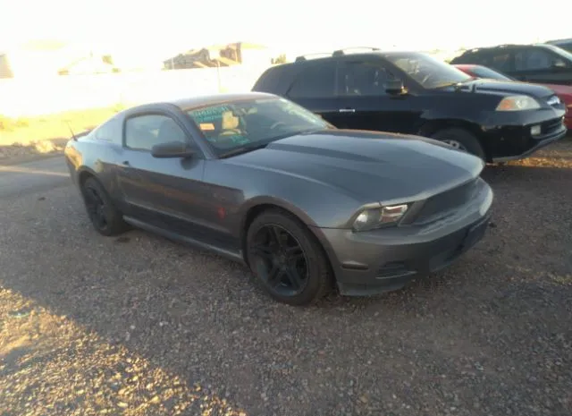 FORD MUSTANG 2010 1zvbp8an4a5108054