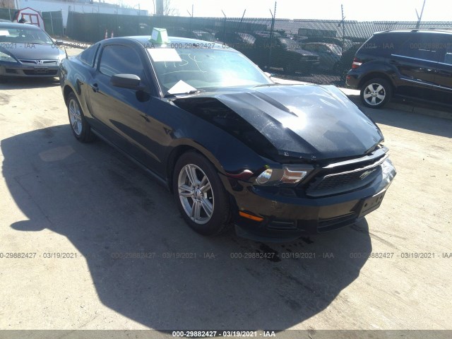 FORD MUSTANG 2010 1zvbp8an4a5112122