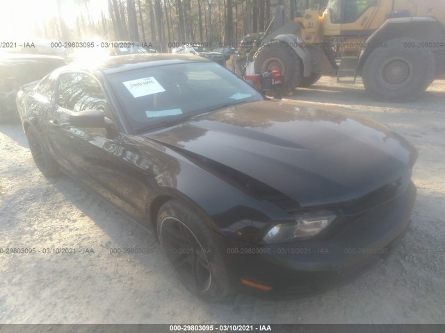 FORD MUSTANG 2010 1zvbp8an4a5114470