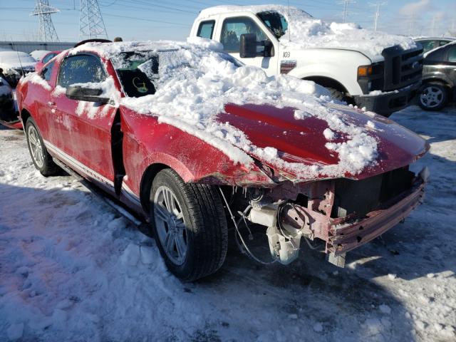 FORD MUSTANG 2010 1zvbp8an4a5117451