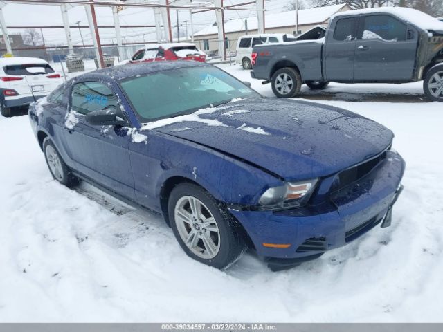 FORD MUSTANG 2010 1zvbp8an4a5123413