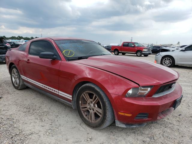 FORD MUSTANG 2010 1zvbp8an4a5125534