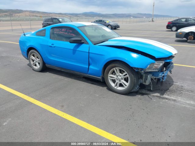 FORD MUSTANG 2010 1zvbp8an4a5125629