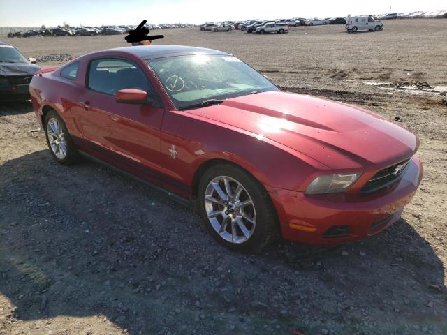 FORD MUSTANG 2010 1zvbp8an4a5126277