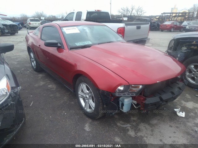 FORD MUSTANG 2010 1zvbp8an4a5128384