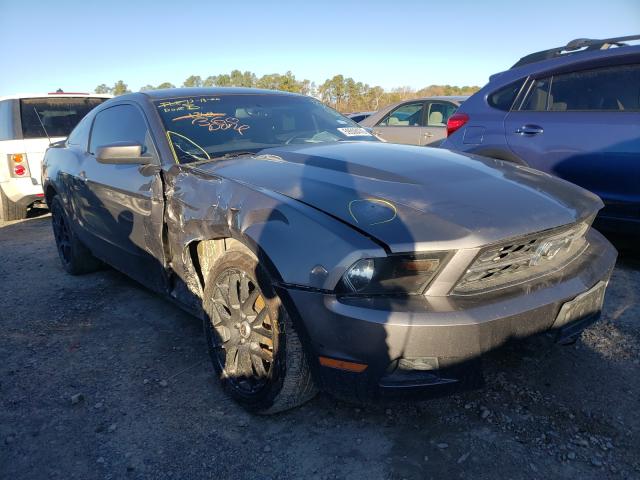 FORD MUSTANG 2010 1zvbp8an4a5129714