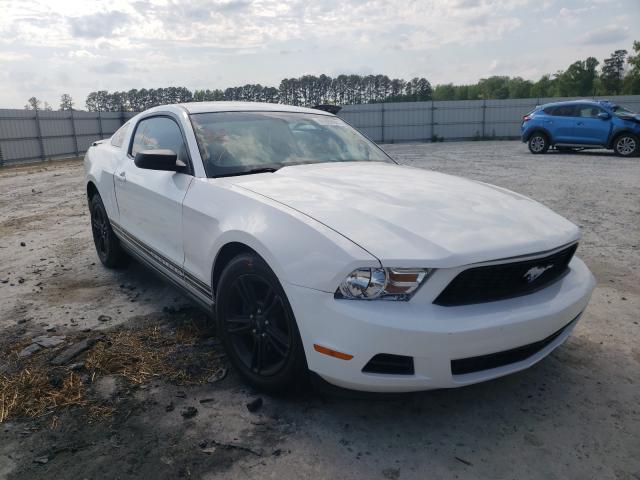 FORD MUSTANG 2010 1zvbp8an4a5131298