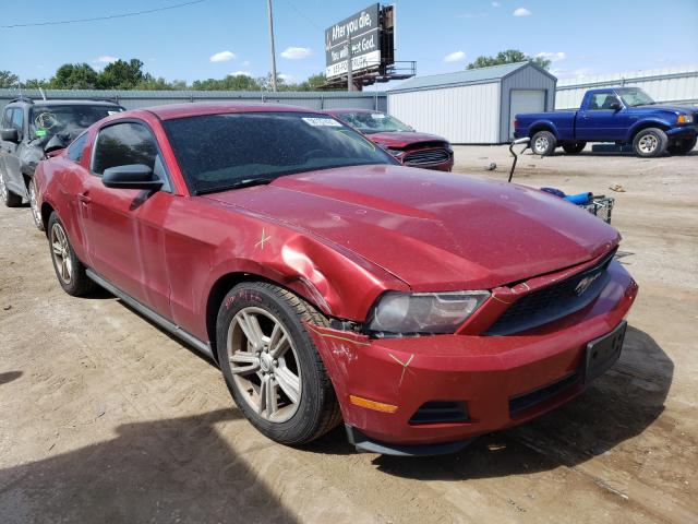 FORD MUSTANG 2010 1zvbp8an4a5131754