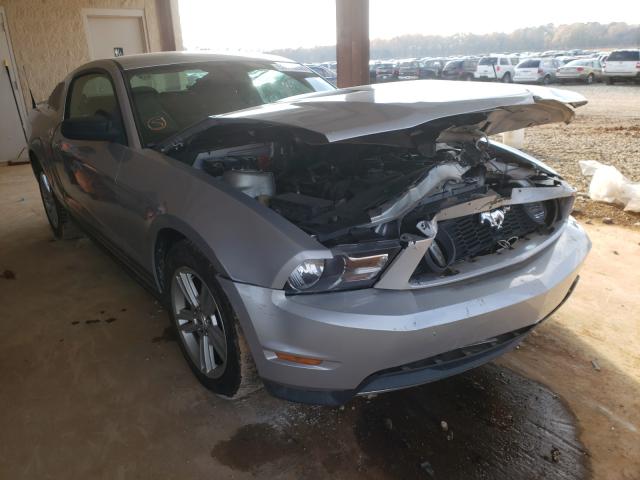 FORD MUSTANG 2010 1zvbp8an4a5133391