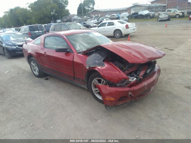 FORD MUSTANG 2010 1zvbp8an4a5133407