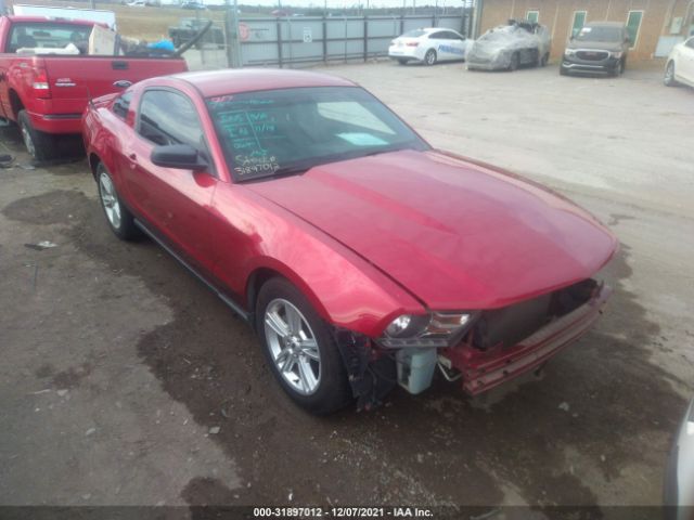 FORD MUSTANG 2010 1zvbp8an4a5135853