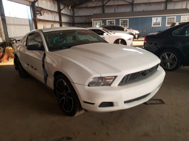 FORD MUSTANG 2010 1zvbp8an4a5136601