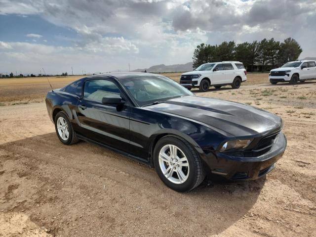 FORD MUSTANG 2010 1zvbp8an4a5138123