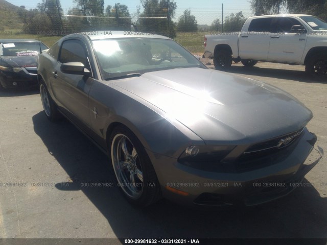 FORD MUSTANG 2010 1zvbp8an4a5139501