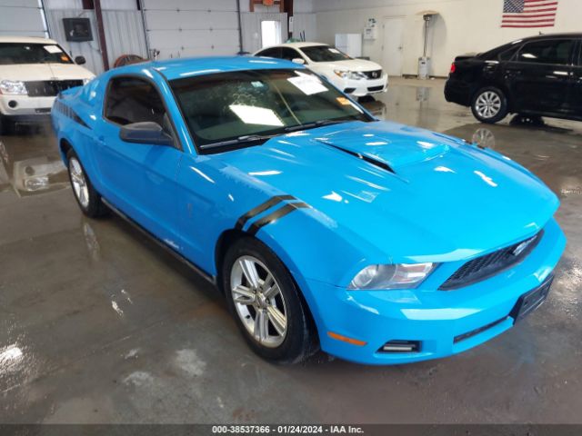 FORD MUSTANG 2010 1zvbp8an4a5142818