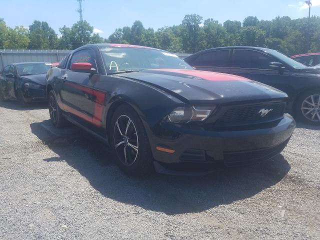 FORD MUSTANG 2010 1zvbp8an4a5144388