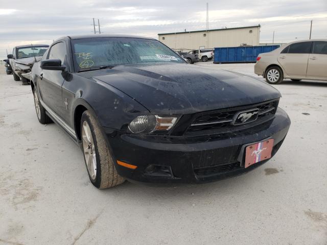 FORD MUSTANG 2010 1zvbp8an4a5144567