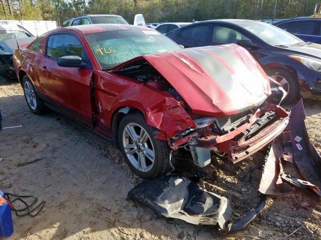 FORD MUSTANG 2010 1zvbp8an4a5144844