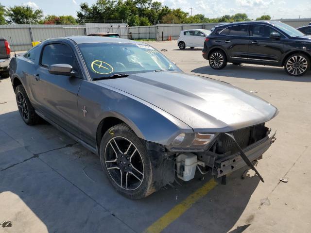 FORD MUSTANG 2010 1zvbp8an4a5144858