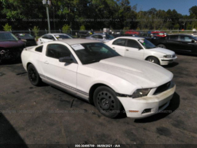 FORD MUSTANG 2010 1zvbp8an4a5146268