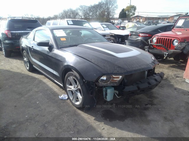 FORD MUSTANG 2010 1zvbp8an4a5147436