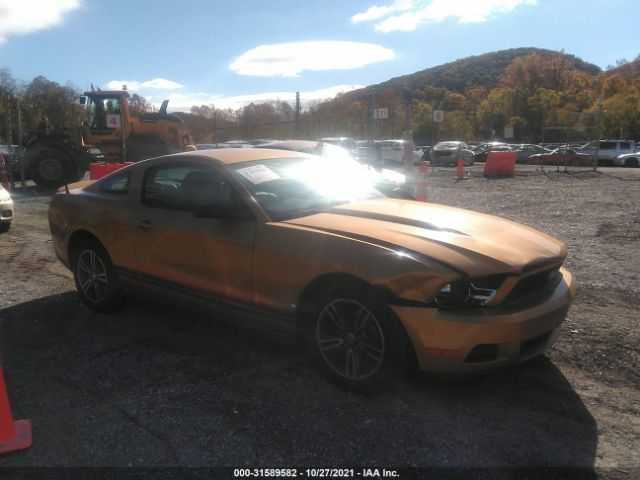 FORD MUSTANG 2010 1zvbp8an4a5148067