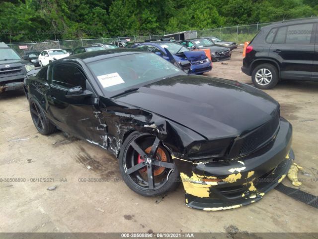 FORD MUSTANG 2010 1zvbp8an4a5149106