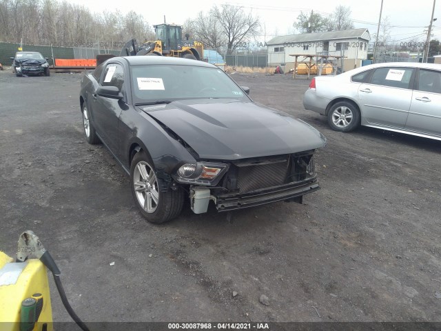 FORD MUSTANG 2010 1zvbp8an4a5150210