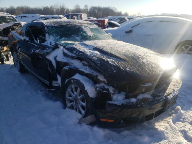 FORD MUSTANG 2010 1zvbp8an4a5152264