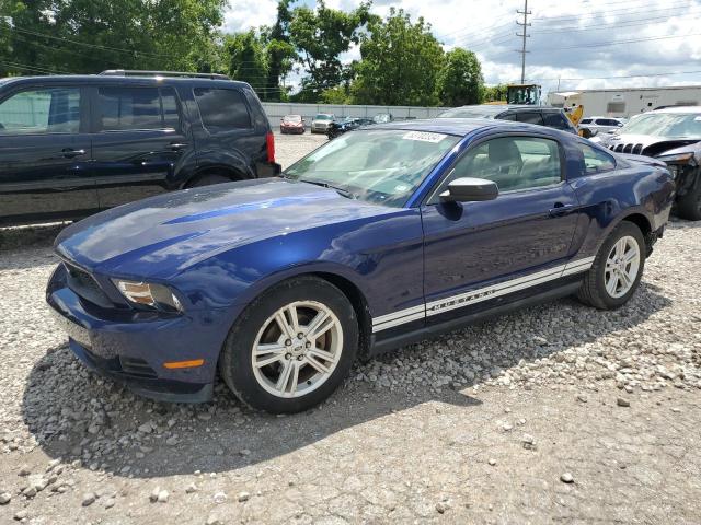 FORD MUSTANG 2010 1zvbp8an4a5152751