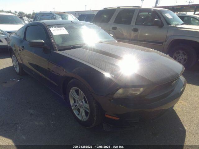 FORD MUSTANG 2010 1zvbp8an4a5154080