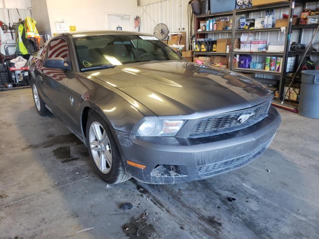 FORD MUSTANG 2010 1zvbp8an4a5154287