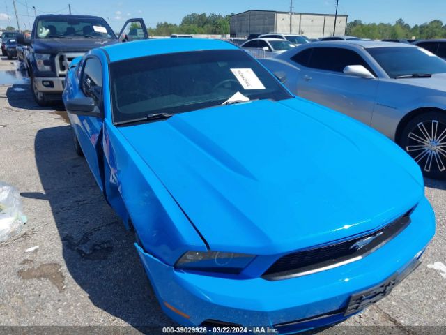 FORD MUSTANG 2010 1zvbp8an4a5155777