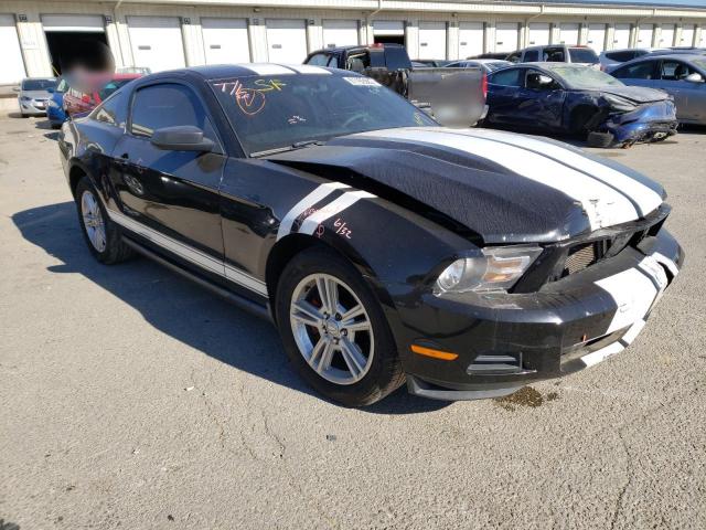 FORD MUSTANG 2010 1zvbp8an4a5155990